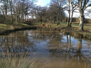 One of the ponds