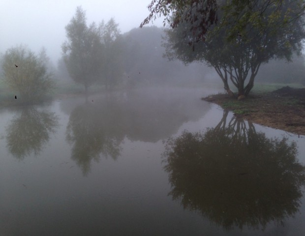 Early morning mist over the lake