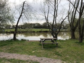 Lakeside bench
