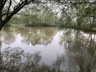 Bridge to lake island