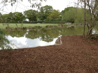 Peg on the lake 4