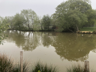 Facilities viewed across lake