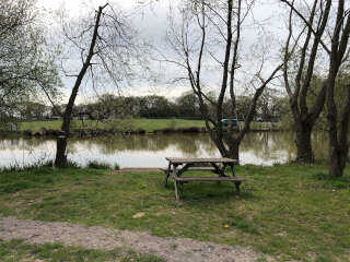 Lakeside bench