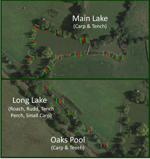 Designated swims at blacklands
